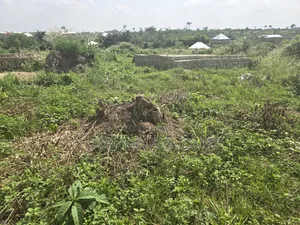 A Land at Antoa-Adesina for Sale