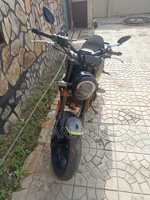 Benelli 2022 Gray