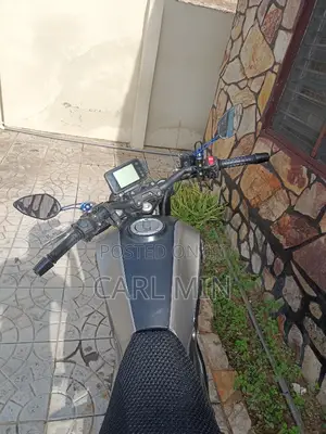Benelli 2022 Gray