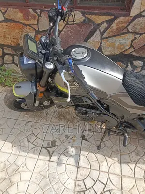 Benelli 2022 Gray