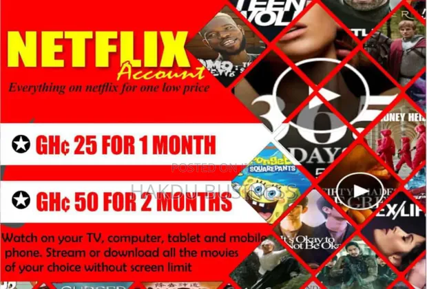 Netflix Accounts (Shared /Personal) in Tema Metropolitan Other