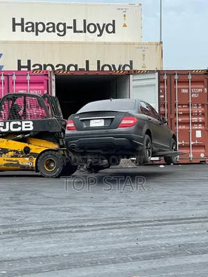 Professional Customs Clearing Agency (Tema)