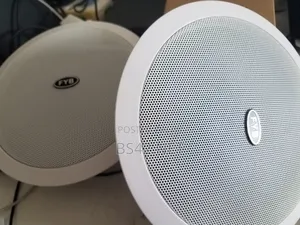 Bluetooth Active Ceiling Speaker