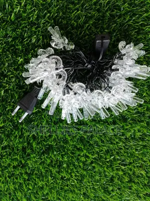 Decorative Lighting Outdoor Led 30led 220v Lights