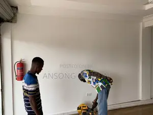 Professional Installer and Trainer of 3d Wall Moulds