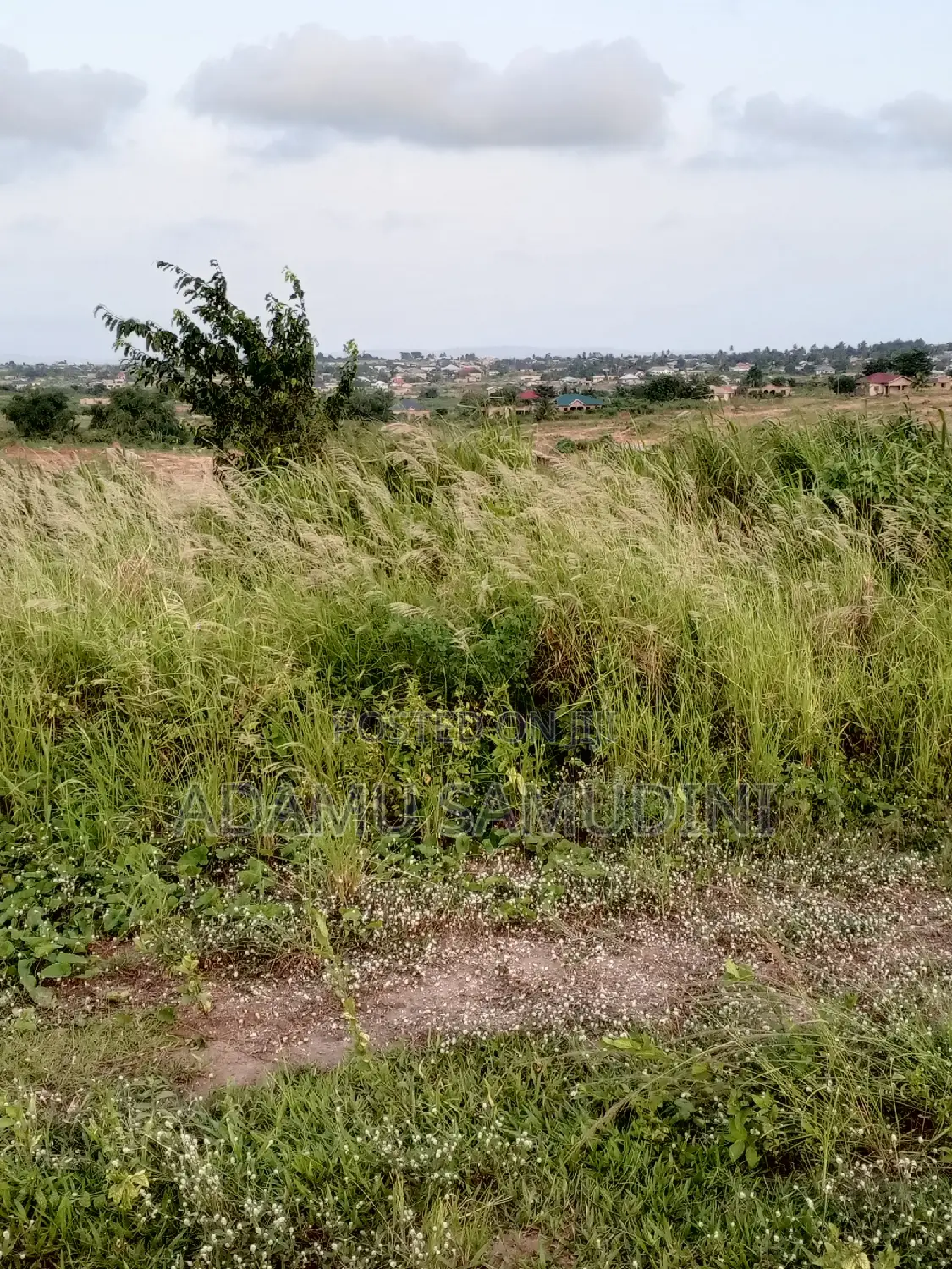 Land for Sale (Agbazo)