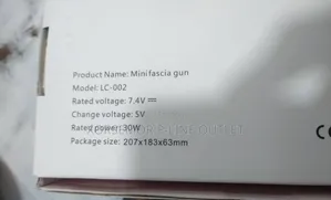 Mini Facial Gun LC-002