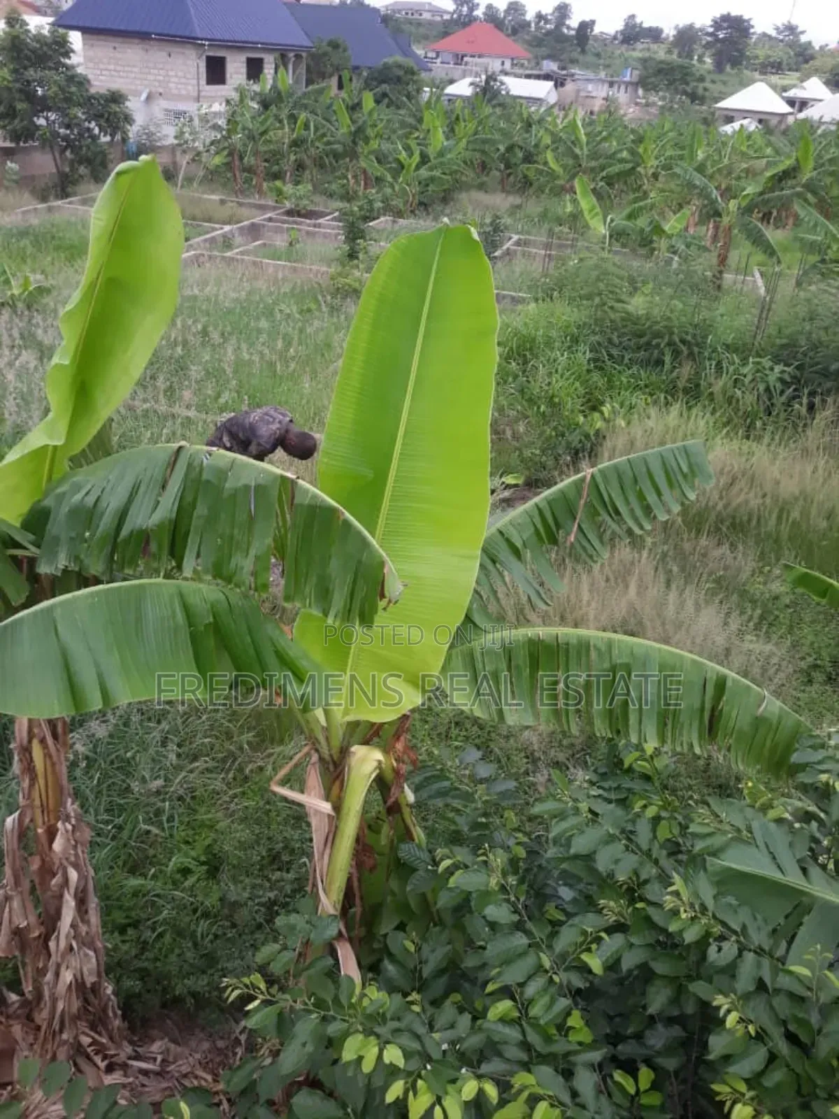 One and Half Icre Plot at Faade for Sale