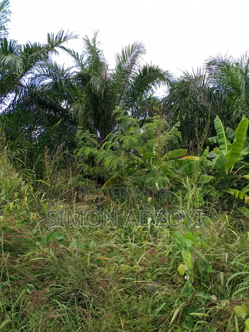 3000 Acres of Farm Land for Lease