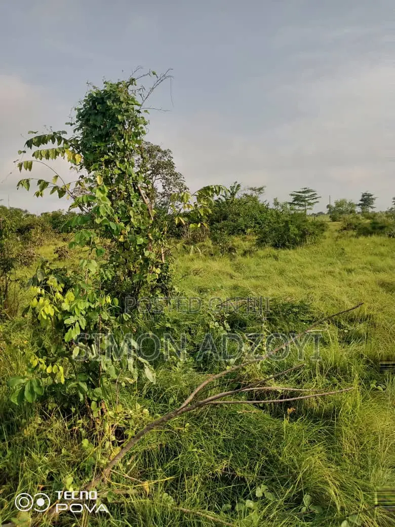 3000 Acres of Farm Land for Lease