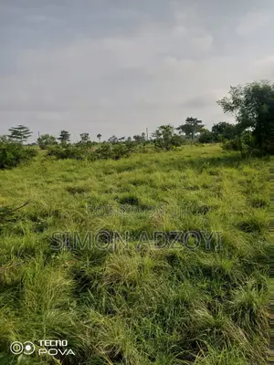 3000 Acres of Farm Land for Lease