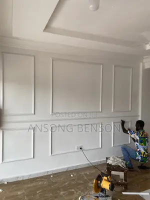 Professional Installer and Trainer of 3d Wall Moulds