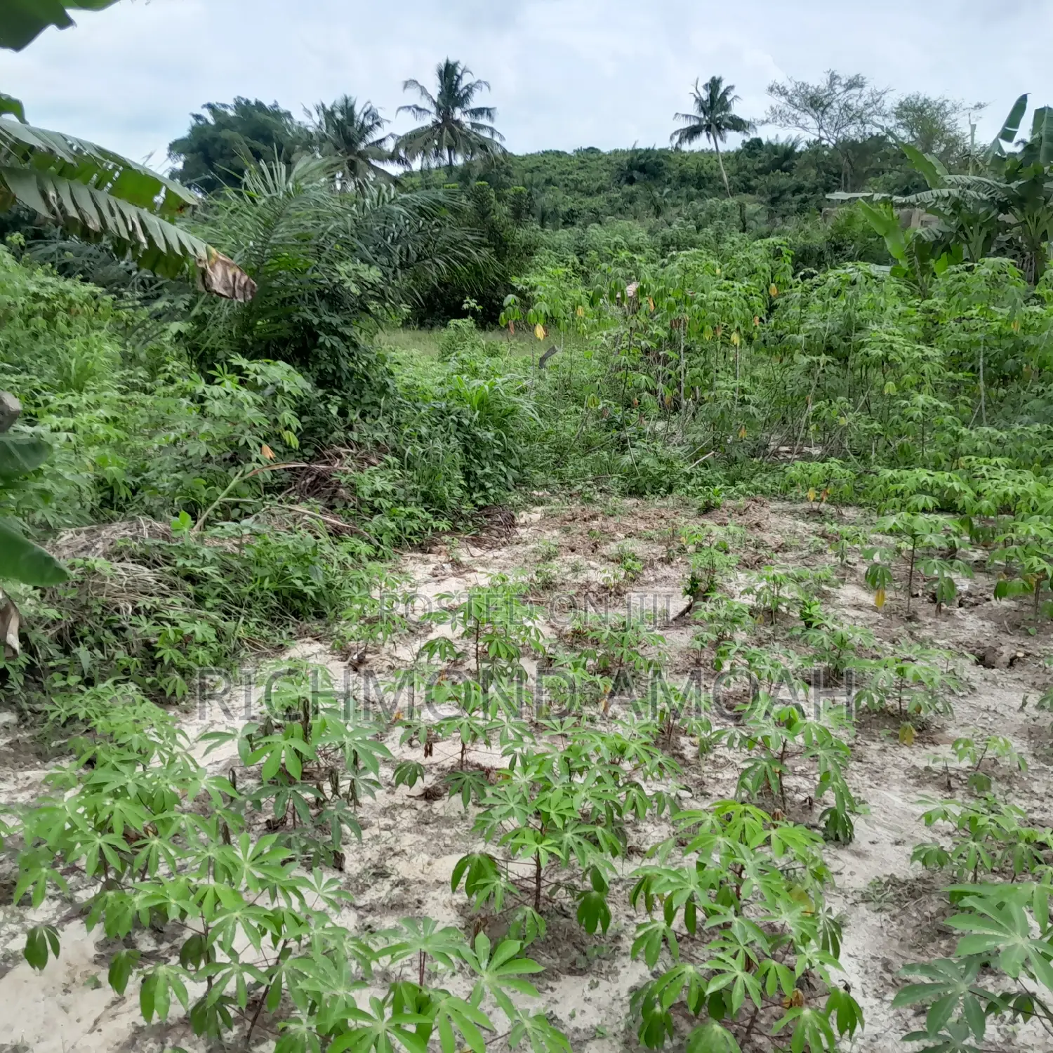 Plot for Sale at Kansa City