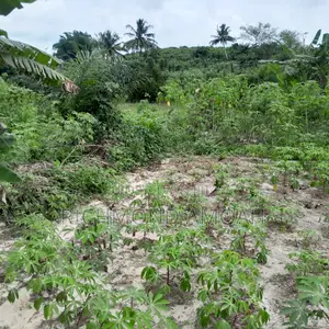 Plot for Sale at Kansa City