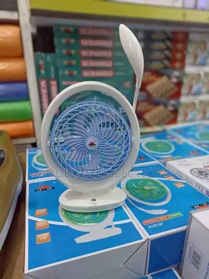 Rechargeable Fan