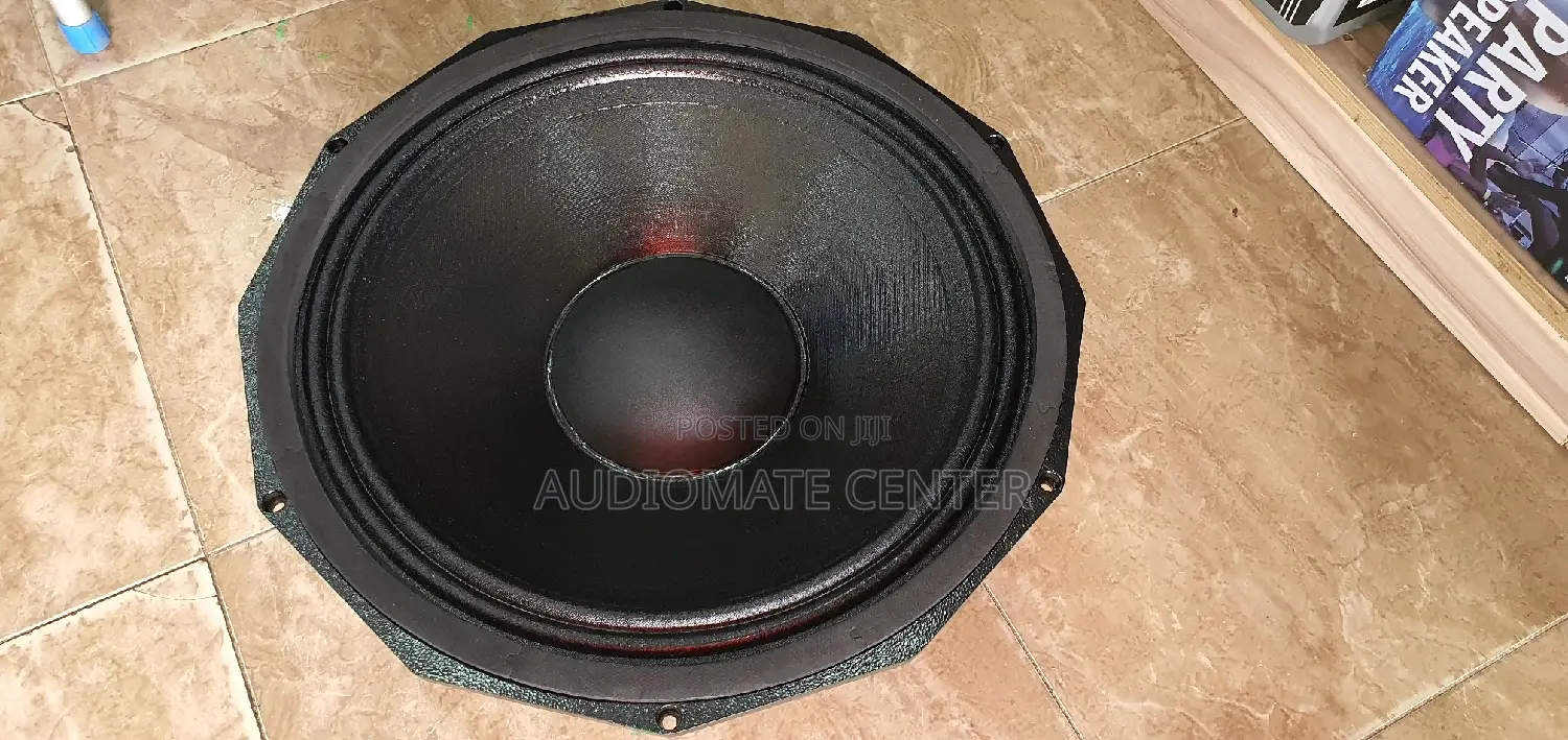 RMW PD 18 Naked Speaker