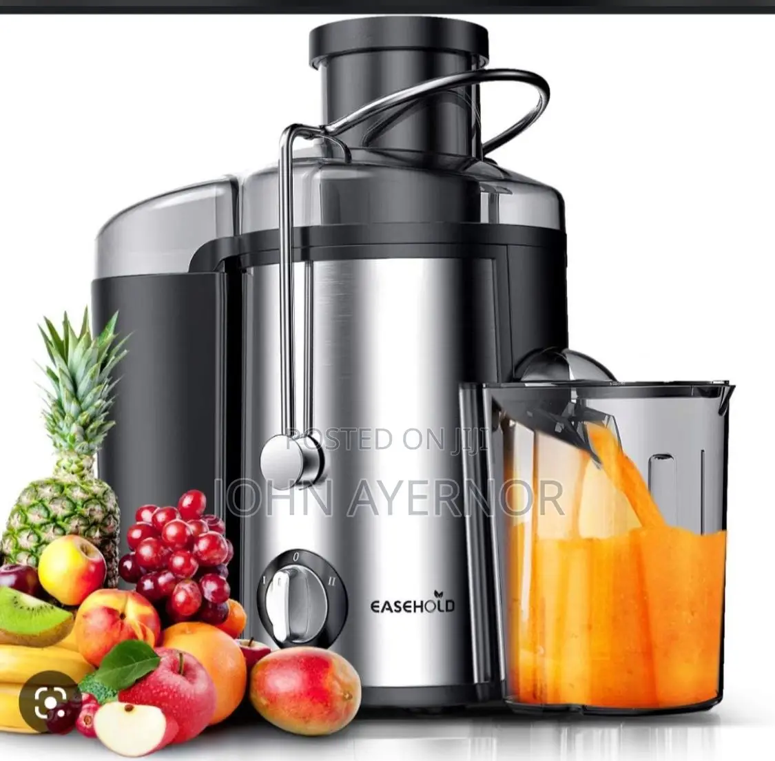 Fruit Juicer