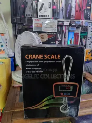 Crane Scale