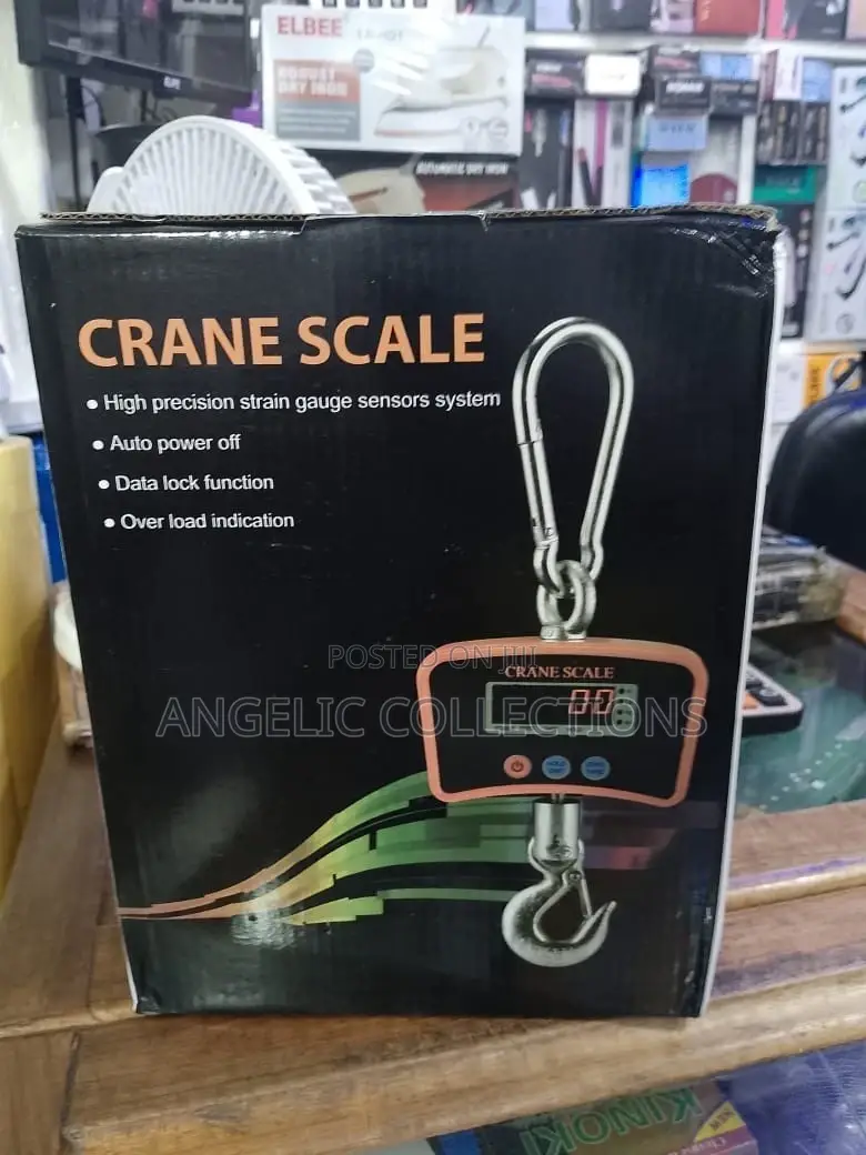 Crane Scale 1000kg