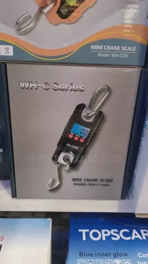 Mini Crane Scale