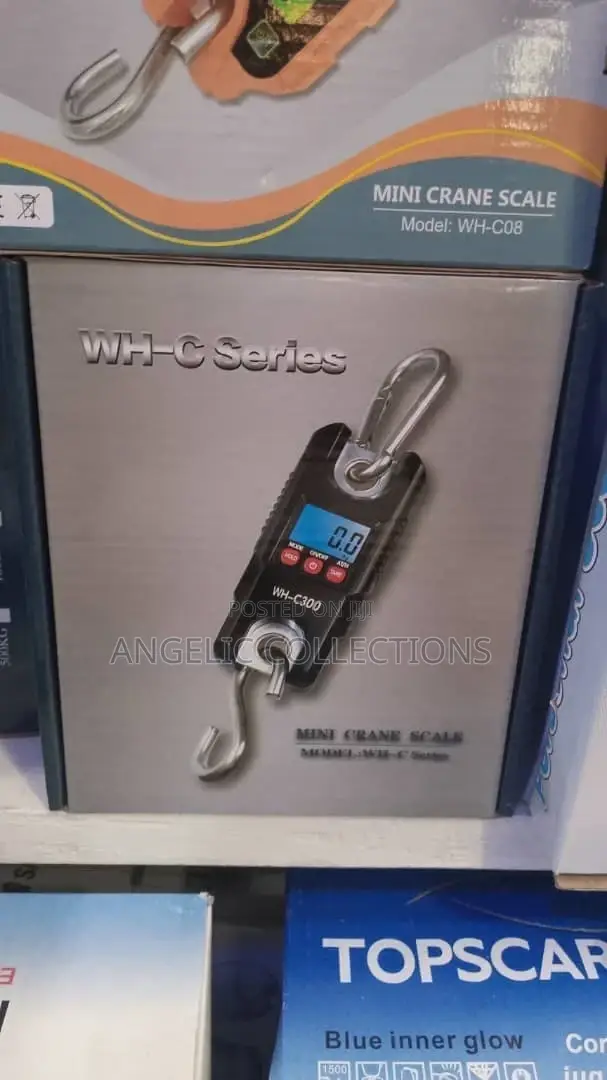Mini Crane Scale