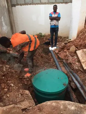 Profesional Plumber