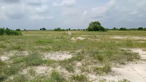 Lands Are Best Investment.