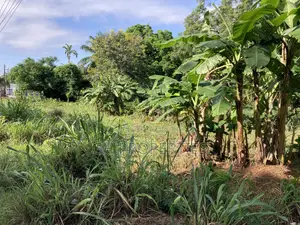One Acre Plot for Sale at Ridge Opposite Golden Bean Hotel.