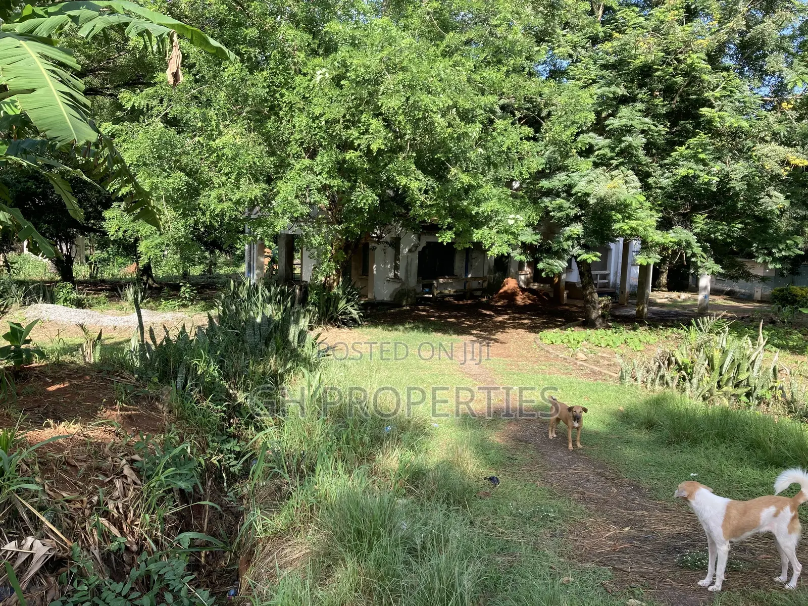 One Acre Plot for Sale at Ridge Opposite Golden Bean Hotel.