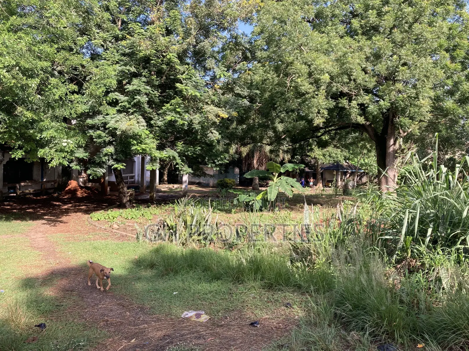One Acre Plot for Sale at Ridge Opposite Golden Bean Hotel.