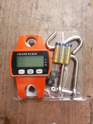 Crane Scale