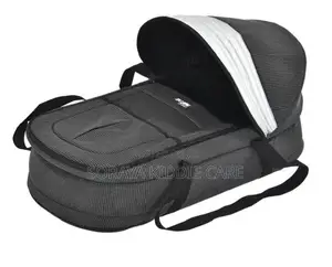 Chicco Carry Cot With Diaper Bags