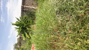Land for Sale at Ga West (Manhean)