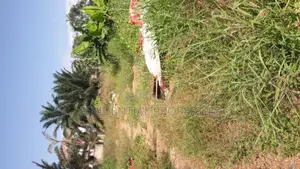 Land for Sale at Ga West (Manhean)