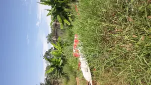 Land for Sale at Ga West (Manhean)