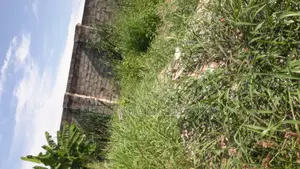 Land for Sale at Ga West (Manhean)