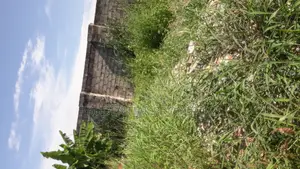 Land for Sale at Ga West (Manhean)