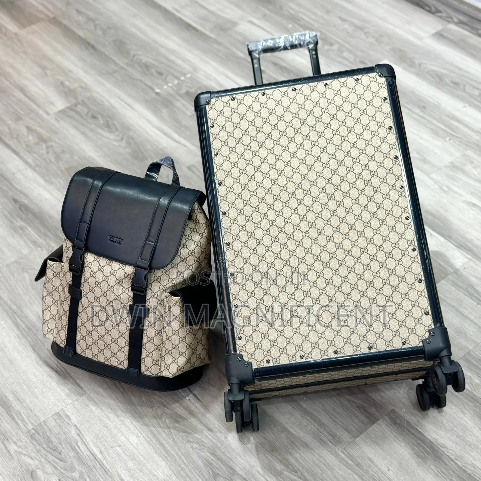 Luxury Travel and Backpack