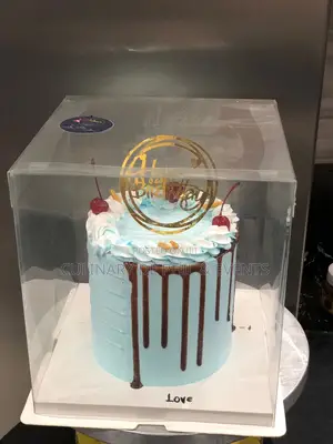 Blue and Chocolate Dripped Cake