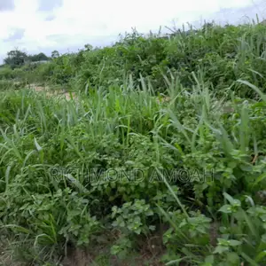 Plot for Sale at Race Course