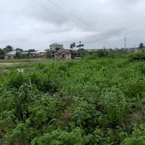 Plot for Sale at West Fijia