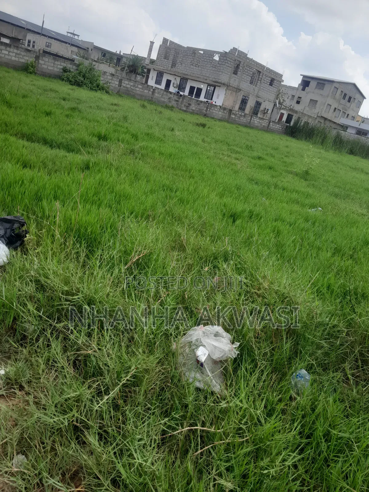 Lashibi 19 Januing