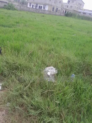 Lashibi 19 Januing
