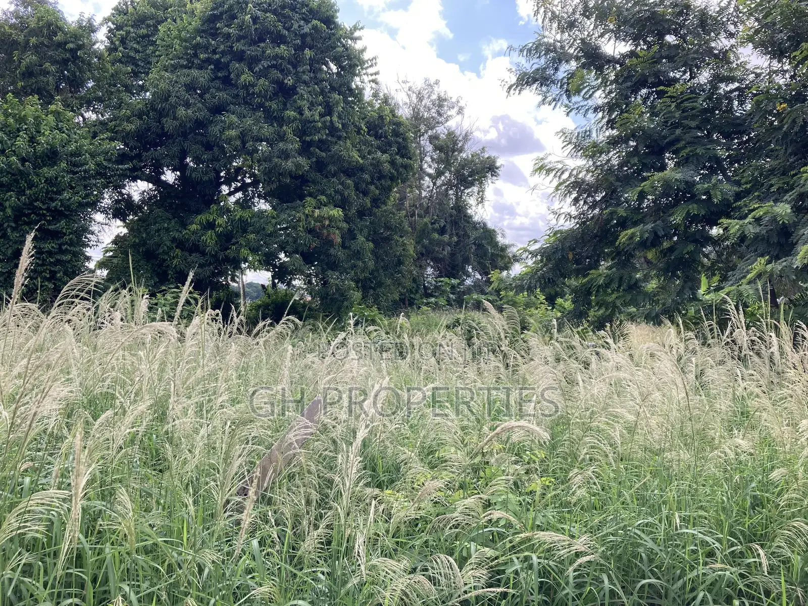 6 Plots for Sale at Adum Ridge Main Road.
