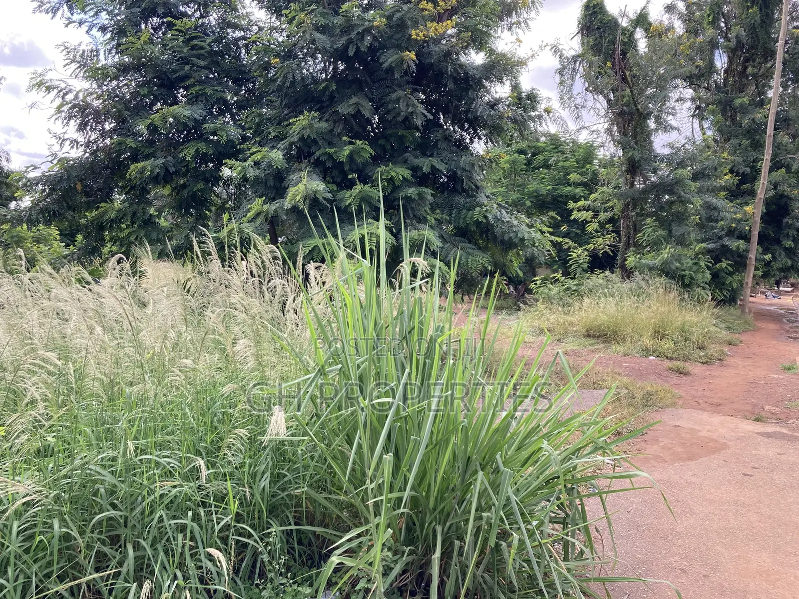 6 Plots for Sale at Adum Ridge Main Road.