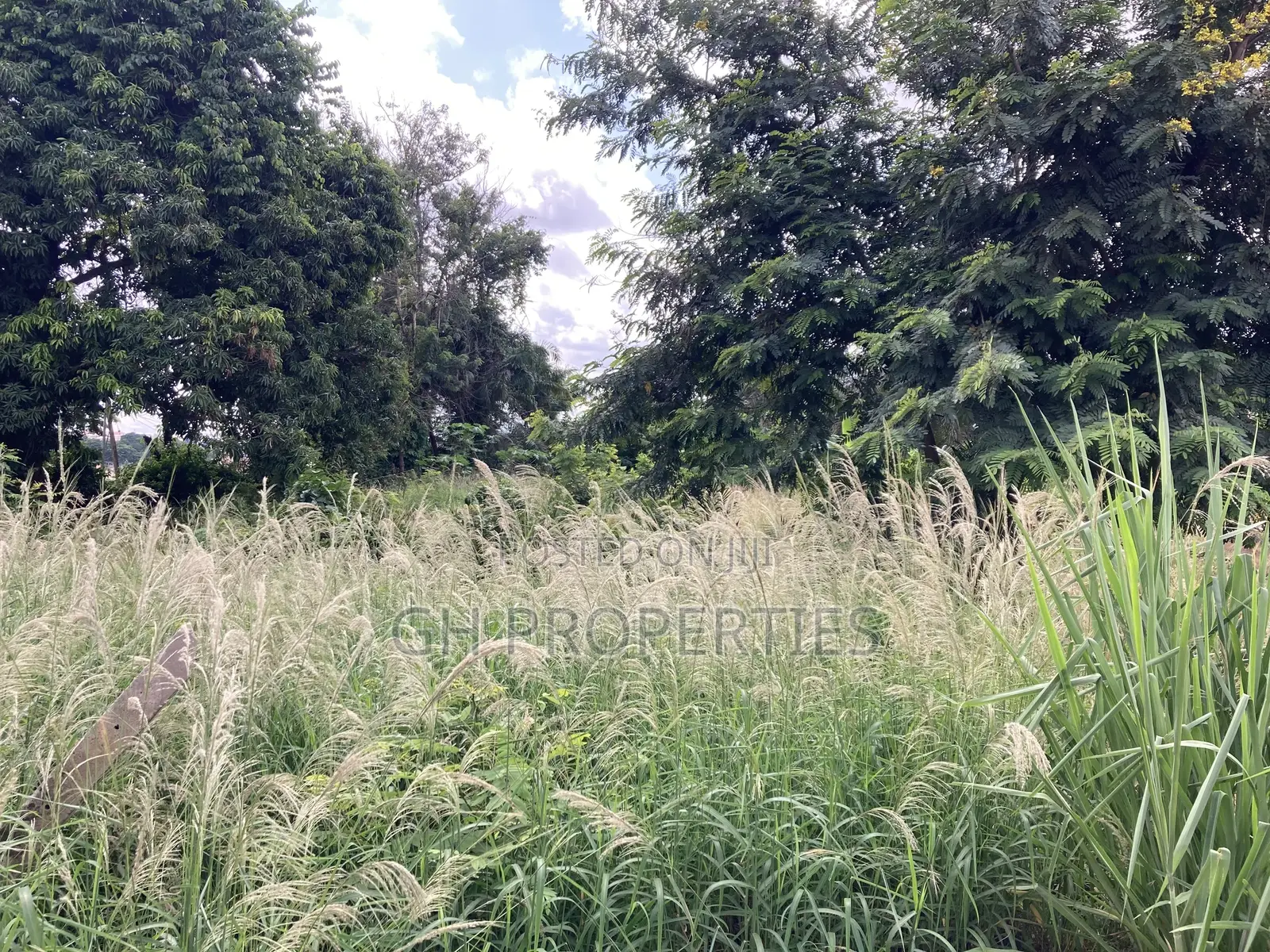 6 Plots for Sale at Adum Ridge Main Road.