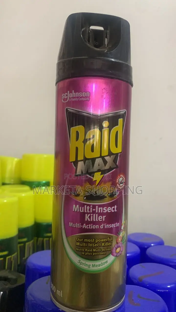 Raid Max Multi Insect Killer 300ml