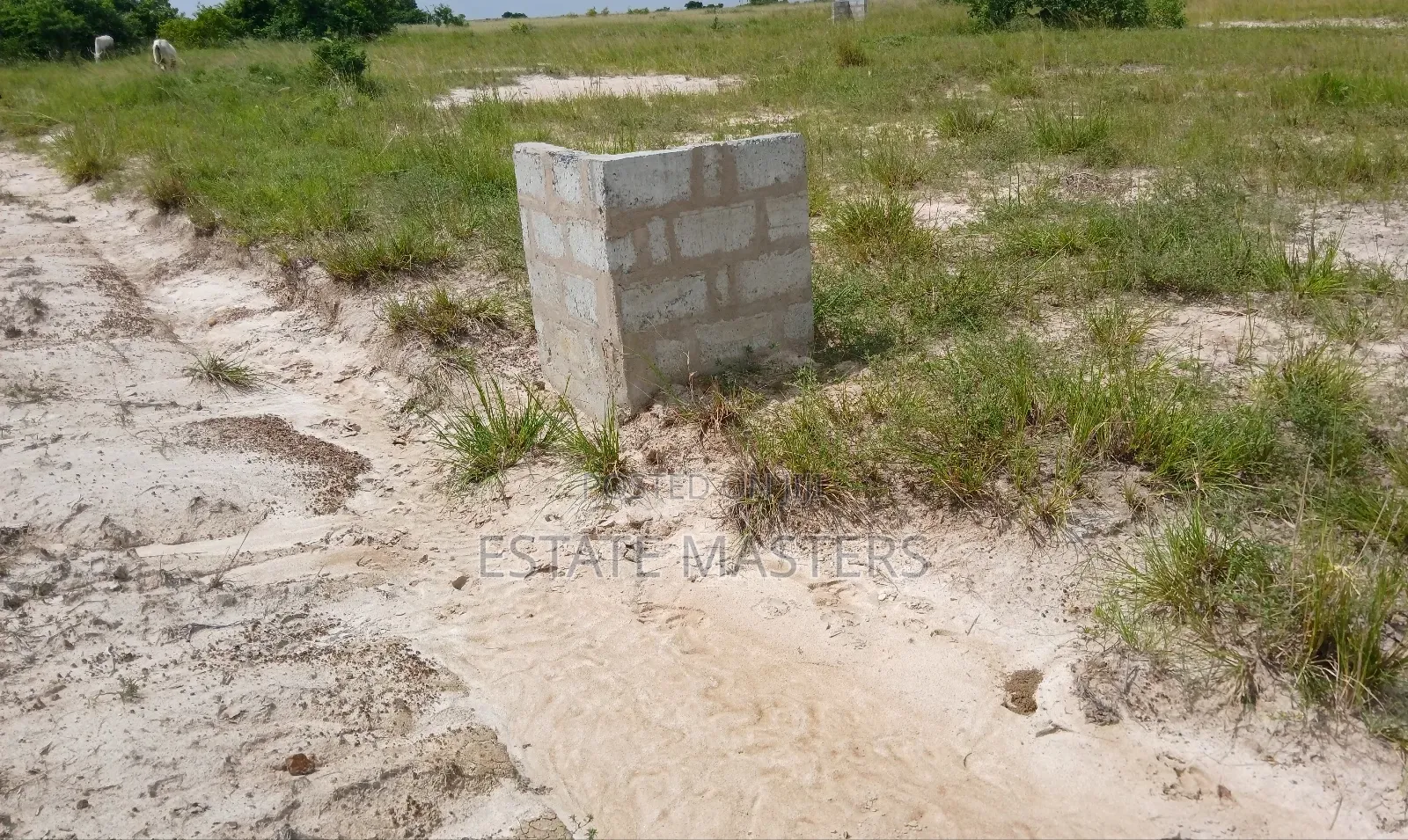 Reward Yourself With a Land Today.
