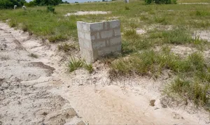 Reward Yourself With a Land Today.