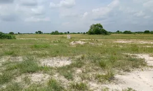 Reward Yourself With a Land Today.